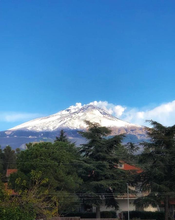 Opuntia Dell'Etna Bike House Leilighet Mascalucia Eksteriør bilde